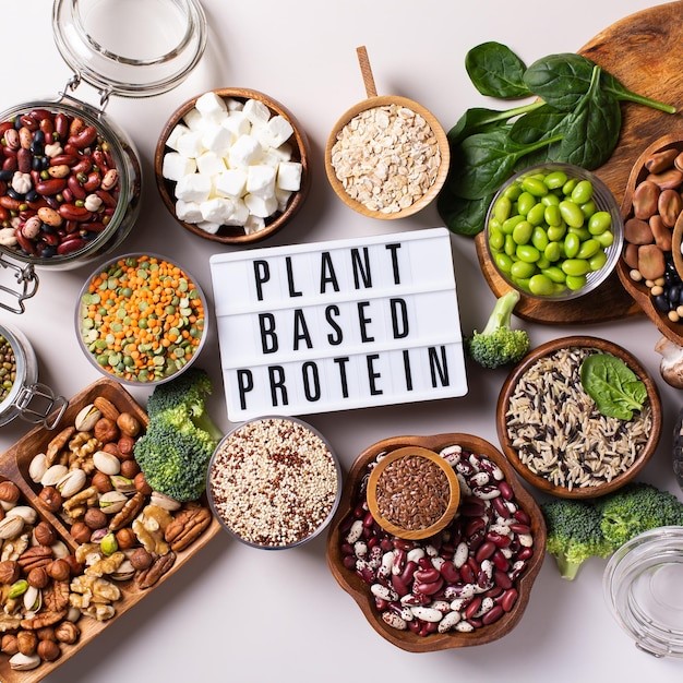 plant protein